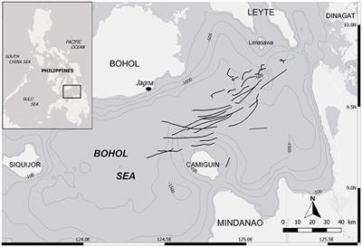 Life History, Growth, and Reproductive Biology of Four Mobulid Species in the Bohol Sea, Philippines